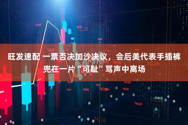旺发速配 一票否决加沙决议，会后美代表手插裤兜在一片“可耻”骂声中离场