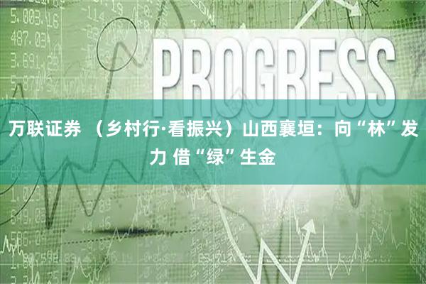 万联证券 （乡村行·看振兴）山西襄垣：向“林”发力 借“绿”生金