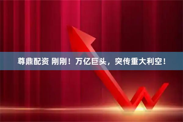 尊鼎配资 刚刚！万亿巨头，突传重大利空！
