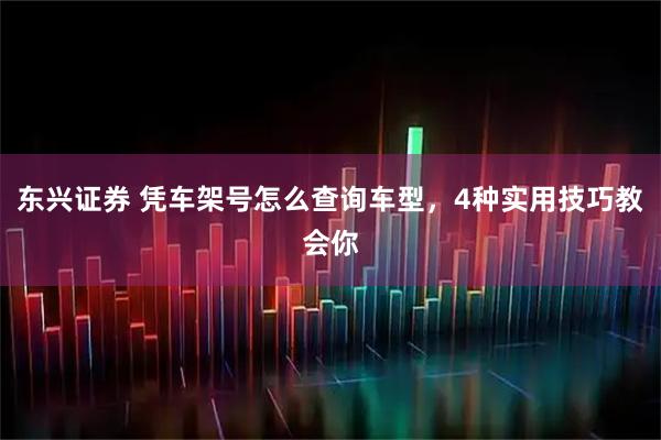 东兴证券 凭车架号怎么查询车型，4种实用技巧教会你