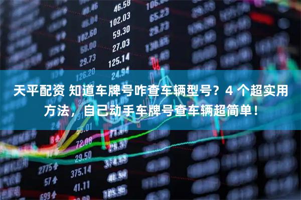 天平配资 知道车牌号咋查车辆型号？4 个超实用方法，自己动手车牌号查车辆超简单！