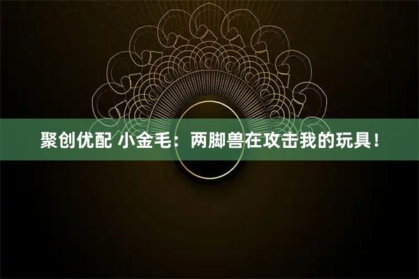 聚创优配 小金毛：两脚兽在攻击我的玩具！