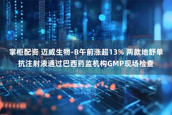 掌柜配资 迈威生物-B午前涨超13% 两款地舒单抗注射液通过巴西药监机构GMP现场检查